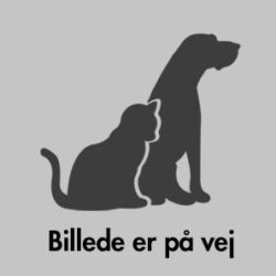 billedepå vej copy